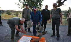 Kayseri'de keneyle mücadele! Gün doğmadan onlarcasını bıraktılar