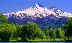 Erciyes Dağı eteklerine bal ormanı talebi! Arıcıların umudu bu projede