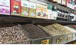 Kayseri'de kokudan kurtulmak mümkün! Yaz reçetesini açıkladı!