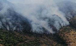 Ormanda yangın alarmı! Alevlere havadan ve karadan müdahale sürüyor