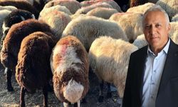 Aldığı kurbanlık ayıplı çıkan vatandaş maddi manevi tazminat alabilecek