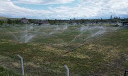 Kayseri'den tarıma tam destek! Üreticilerin yüzü gülüyor