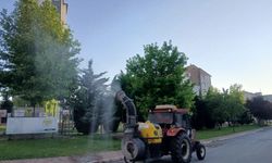 Kene ve haşerelere geçit yok: Talas'ta mesai devam ediyor!