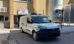 50 yaşındaki kadın kene yüzünden hayatını kaybetti! Ölü sayısı 12'ye yükseldi