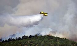 İletişim Başkanlığı açıkladı: 10 günde 761 yangın çıktı