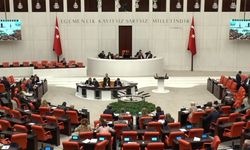 Kayseri Milletvekilleri İklim Kanunu oylamasında farklı tavır aldı!