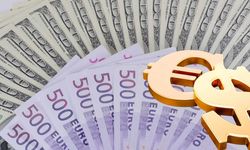 Dolar yükseliyor, Euro düşüyor! Uzmanı yatırımcıları uyardı
