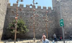 Tarihe güvercin tuzağı: Kayseri Kalesi gübreye terk ediliyor!