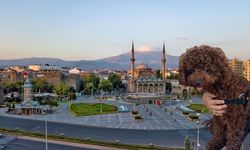 Kayseri'de bu köpeği bulana ödül! Bakın ne kadar verecekler?