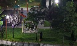 Kayseri'de köpek dışkısı parkı kullanılamaz hale getirdi, mahalleli çözüm bekliyor