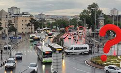 Kayseri’de sayıları yarım milyona ulaştı! Her üç kişiden birinde var