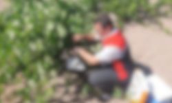 Kayseri’nin o ilçesinde tuzaklar kuruldu! İşte sebebi