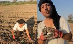 Kayserili siyasetçi servetini açıklamıştı! İl başkanı karpuz tarlasından seslendi: Sırrı’nın kızı Alaçatı’yı parsellemiş!