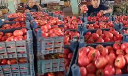 Komşu ilde domates ve karpuz 3 TL! Yine de kimse almıyor