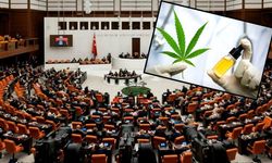 Tıbbi kenevir yasalaştı: Eczanelerde satışı başlıyor