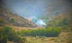 Türkiye alevlerle mücadele ederken Kayseri'de yangın alarmı verildi