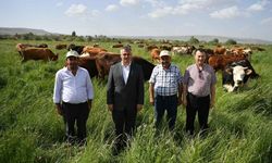 Kayseri'de Mera Islah Projesi yüzleri güldürüyor!