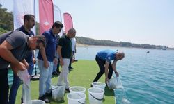 Kayseri dâhil 12 ilde 129 Gölet'e 10,5 milyon yavru sazan bırakıldı
