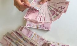 Müjdeyi Bakanlık duyurdu! 344 milyon TL ödenecek