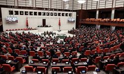 Tartışmalı madde Meclis'te iptal edildi