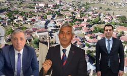 Kayseri'de şenlik krizi: Dernek başkanı Kaymakamı ve Belediye Başkanını suçladı!