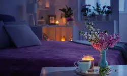 Yatak odasında temiz hava ve kaliteli uyku için 6 doğal bitki