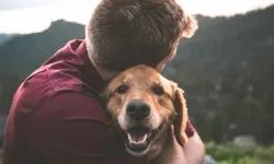 Köpekler zamanla sahiplerine benzer mi? İşte şaşırtan bilgi