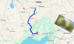 İncesu Adana’ya rakip çıktı! 13 kiloya kadar büyüyor