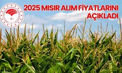 2025 Mısır alım fiyatlarını açıkladı