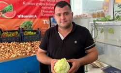Sipariş Verdiği Marulu Beğenmeyen Müşteri, Market Çalışanı Çocuğu Darp Etti