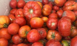 Kayseri’de fiyatlar uçtu! Pazar’da ayrı, market’te ayrı