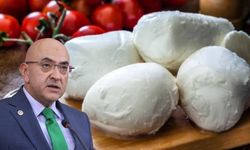 AK Partili Vekil ‘duyarsanız şaşırmayın’ diyerek paylaştı! Kayseri mozarellası mı geliyor?