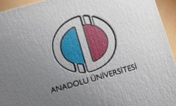 AÖF yaz okulu sınav sonuçları açıklandı!