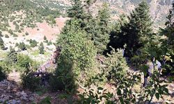 Direksiyon hâkimiyetini kaybetti uçuruma yuvarlandı: 2 ölü!