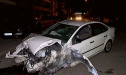 Kontrolden çıkan otomobil ağacı ve direği devirdi!
