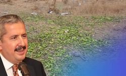 Kayserili Bakan Yardımcısı paylaştı! Kilolarca biberi yere döken üretici cezadan kaçamadı