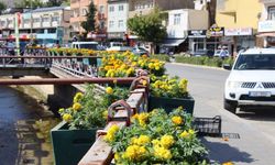 Kayseri'de o yürüyüş yolunun çehresi değişti!