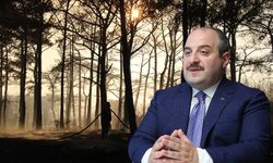 Yangın mı, rant mı? Çanakkale'de altın rezervi iddiaları gündemde!