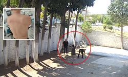 CHP’li Belediye Başkanı zabıtaları sopayla dövdü!