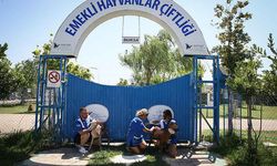 Yangında yaralanan hayvanlar emekli hayvanlar çiftliğine