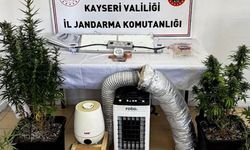 Kayseri’de evinde Kenevir yetiştiren şüpheliye gözaltı