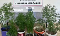Kayseri’de evinde kenevirle yakalandı!