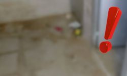 Kayseri'de mide bulandıran görüntüler! Belediye harekete geçti