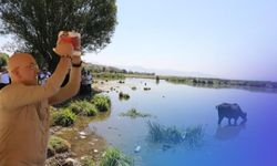 Kayserili Vekil ‘eczanelerde satılmalı’ dedi: Test edildi onaylandı