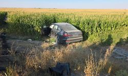 Kaza yapan iki otomobil mısır tarlasına savruldu: 7 yaralı