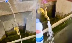 Erciyes'in suyuna ne karıştı? Ceşmeler alarm veriyor