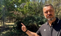 ERÜ'de 60 yıllık orman otopark olacak iddiasına Demokrat Parti'den sert tepki!