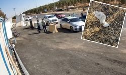 Polis memuruna çarpıp, yasaklı maddeyi dışarı atan avukat tutuklandı!