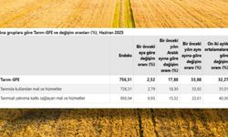 Tarımsal girdi fiyat endeksi Haziran’da yıllık %33,88 arttı!