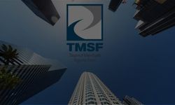 Yasadışı bahis soruşturmasında flaş gelişme! TMSF bir şirkete daha kayyum atadı